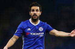 بالفيديو… فابريغاس يتحدث مع إبنه بالعربية