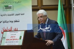 لوح: “فتح تحقيق في 67 قضية تخص الاعتداء على الجزائريين في الخارج”