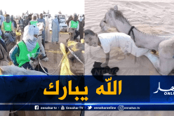 بالصور .. طفل 9 سنوات يتحصل على المرتبة الخامسة في سباق الإبل بورڨلة