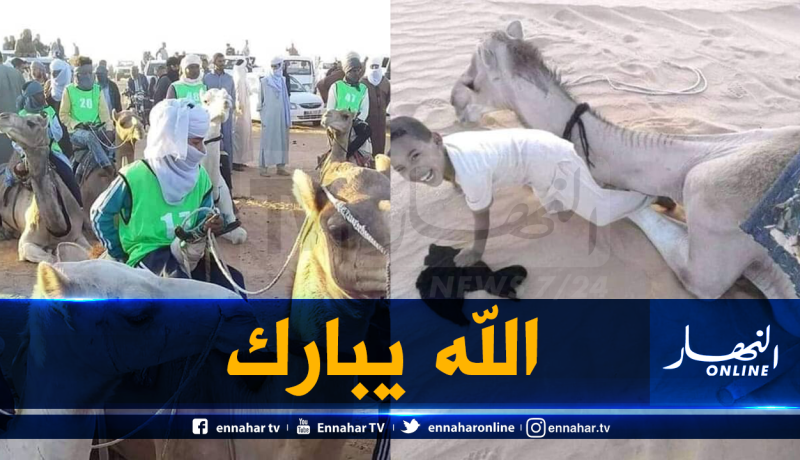بالصور .. طفل 9 سنوات يتحصل على المرتبة الخامسة في سباق الإبل بورڨلة