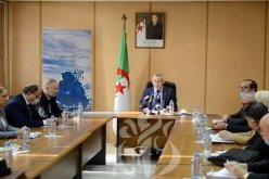 الصحفي المحترف.. تنصيب أعضاء لجنة تحكيم لجائزة رئيس الجمهورية