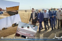 والي تبسة يعطي إشارة إنطلاق موسم الحصاد والدرس بمنطقة المرموثية