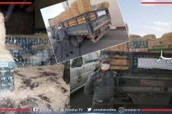 سوق أهراس..إحباط تهريب 7680 قارورة خمر