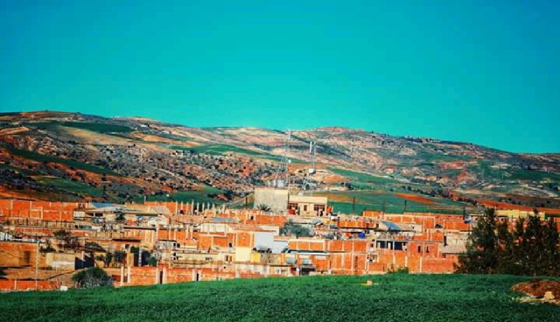 الشلف: أزيد من 300 عائلة تطالب السلطات بعقود الملكية بحوش الغابة