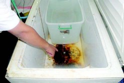 إغلاق أكثر من 130 محل بالجزائر العاصمة بسبب انعدام النظافة