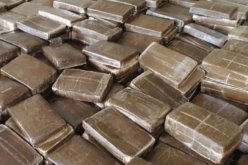مهرب يستعمل زوجته وأمه في تهريب نصف قنطار كيف غرب البلاد!