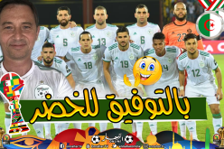 السفير البريطاني بالجزائر بقميص الخضر ويتمنى التأهل للدور ربع النهائي