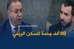 وزير السكن : 80 ألف وحدة سكنية مخصصة للسكن الريفي