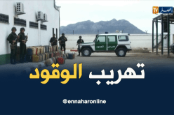 الجيش يحبط محاولة تهريب أكثر من 11 ألف لتر من الوقود بالحدود الشرقية