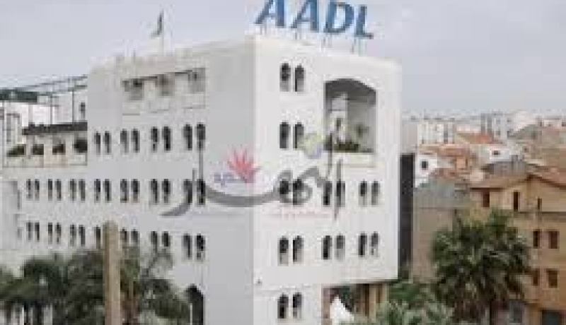 إخضاع مكتتبي 2001 و2002 المُحيّنين على البطاقية الوطنيّة للمرّة الثانية