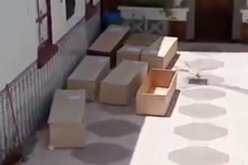 قسنطينة.. توقيف مروج فيديو يسيء للمركز الاستشفائي الجامعي
