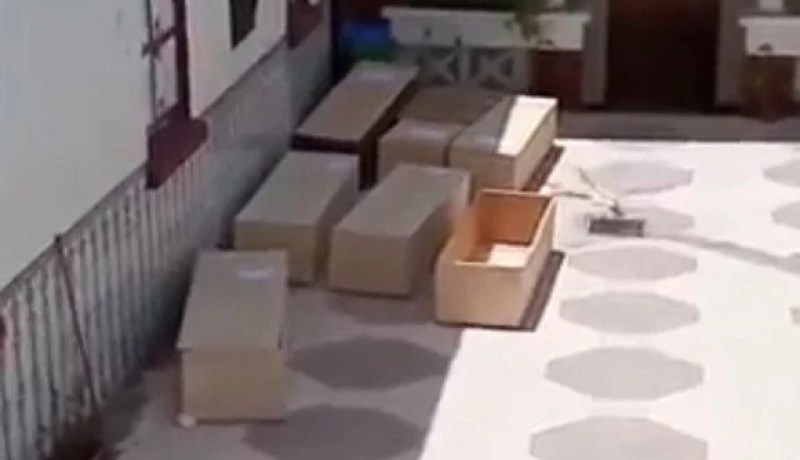 قسنطينة.. توقيف مروج فيديو يسيء للمركز الاستشفائي الجامعي