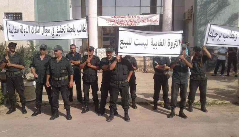 عمال محافظة الغابات يحتجون على نهب الثروة الغابية بوهران