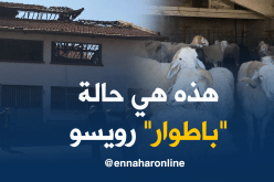 بالصور والفيديو هذه هي حالة مذبح “رويسو” بالعاصمة قبل غلقه