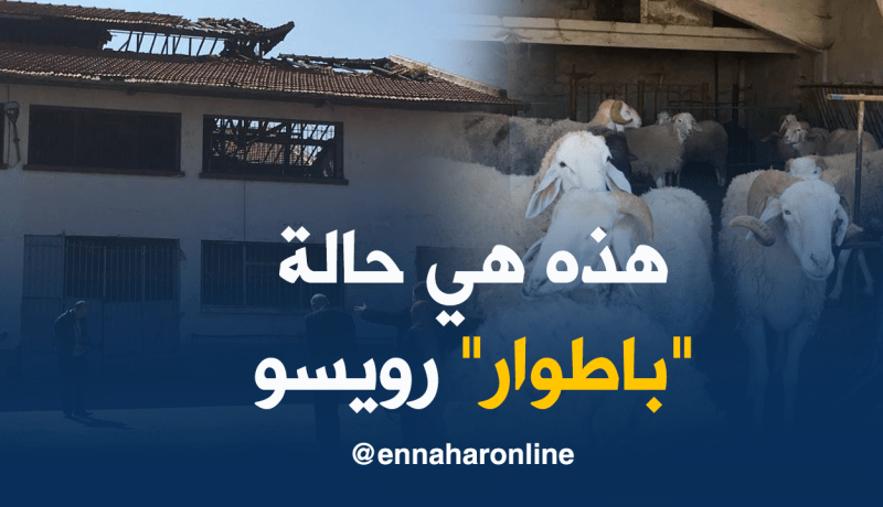 بالصور والفيديو هذه هي حالة مذبح “رويسو” بالعاصمة قبل غلقه