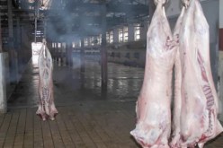 اكتشاف مذبح سري يؤشر على اللحوم بختم مزور في الطارف