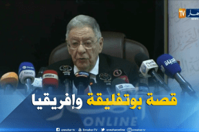الأفلان ينشط ندوة بعنوان “بوتفليقة وإفريقيا..60 سنة من الصداقة والتضامن”