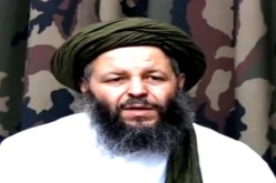 ‮ مفتي‮ ‬السلفية‮ ‬يتنصل من الإجابة عن فتوى‮ ‬الكاميكاز‮ ‬ويلحقها بالقاعدة الأم