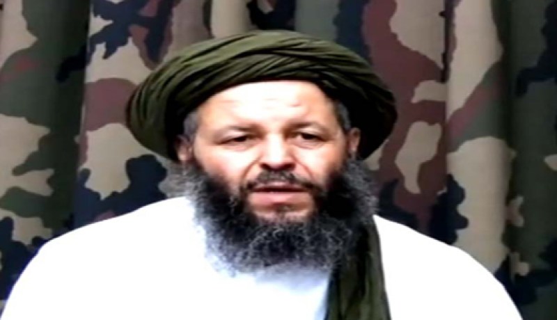 ‮ مفتي‮ ‬السلفية‮ ‬يتنصل من الإجابة عن فتوى‮ ‬الكاميكاز‮ ‬ويلحقها بالقاعدة الأم