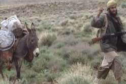 القضاء على “يحي أبو الهيثم” القيادي البارز في “قاعدة المغرب الإسلامي”