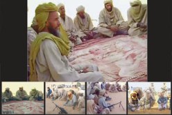 هذا هو عبد الحميد أبو زيد بالصّوت والصّورة