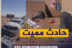 رعايا فلسطينيين منهم رضيعة وطفلة من بين ضحايا حادث غرداية