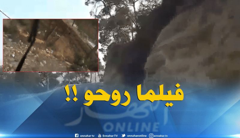 بالفيديو: سائق يصور حادثه المروري في وهران على المباشر !!