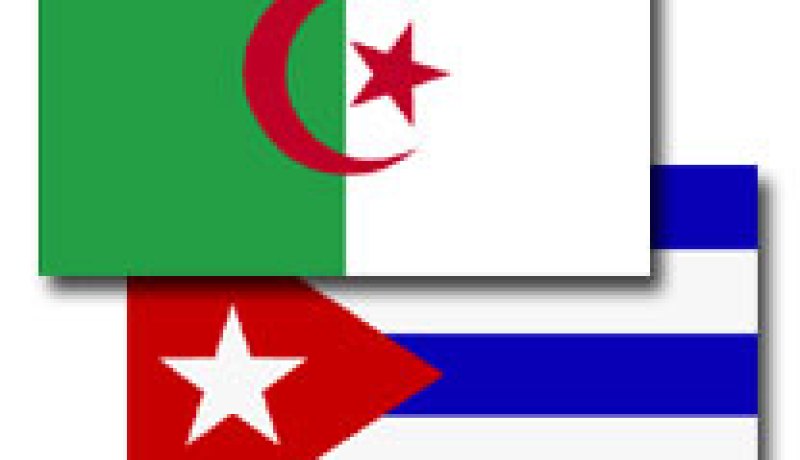 نائب الوزير الكوبي للعلاقات الخارجية في زيارة عمل للجزائر بعد غد  السبت