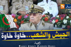 قايد صالح:  الجيش سيسهر على مسايرة المرحلة في ظل الثقة المتبادلة بين الجيش والشعب