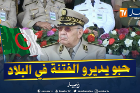 قايد صالح: أطراف أجنبية تحاول زرع الفتنة وزعزعة استقرار الجزائر