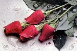 النهار تساعدك لدخول بيت الزوجية