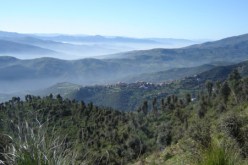 إحباط محاولة تسلّل إرهابيين من اعكوران إلى أدكار في‮ ‬بجاية