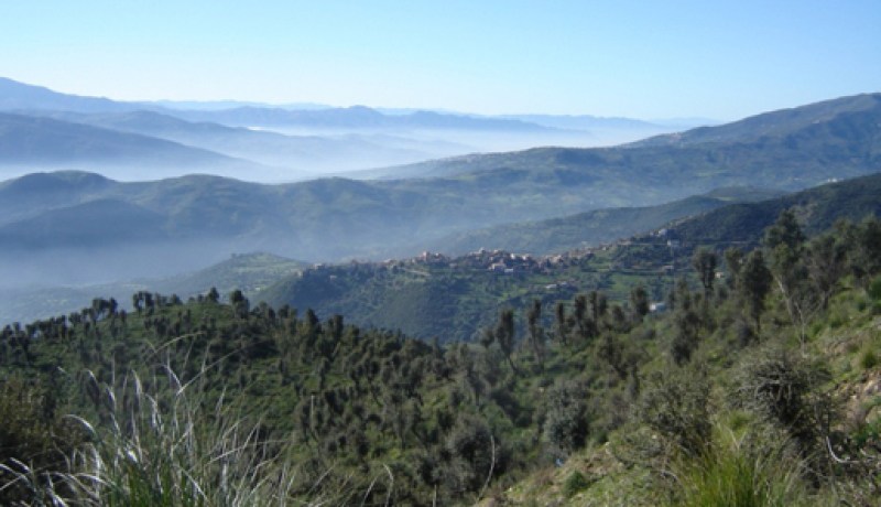 إحباط محاولة تسلّل إرهابيين من اعكوران إلى أدكار في‮ ‬بجاية