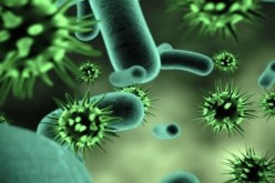 فيروس هانتا يقتل شخص في مقاطعة ووهان الصينية