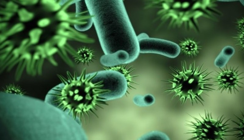 فيروس هانتا يقتل شخص في مقاطعة ووهان الصينية