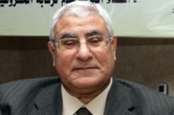 الرئيس المصري يوافق على استقالة البرادعي
