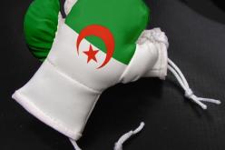 3 ملاكمين جزائريين يبدأون مونديال هامبورغ اليوم