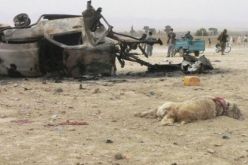 عاجل    مقتل 6 مدنيين في انفجار قنبلة في جنوب أفغانستان