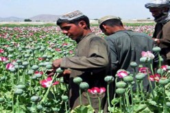 أفغانستان وإيران من أكثر الدول التي تواجه خطر المخدرات