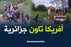 أفريكا تاون جزائرية.. هكذا يحتل أفارقة مزرعة في السبالة بالعاصمة