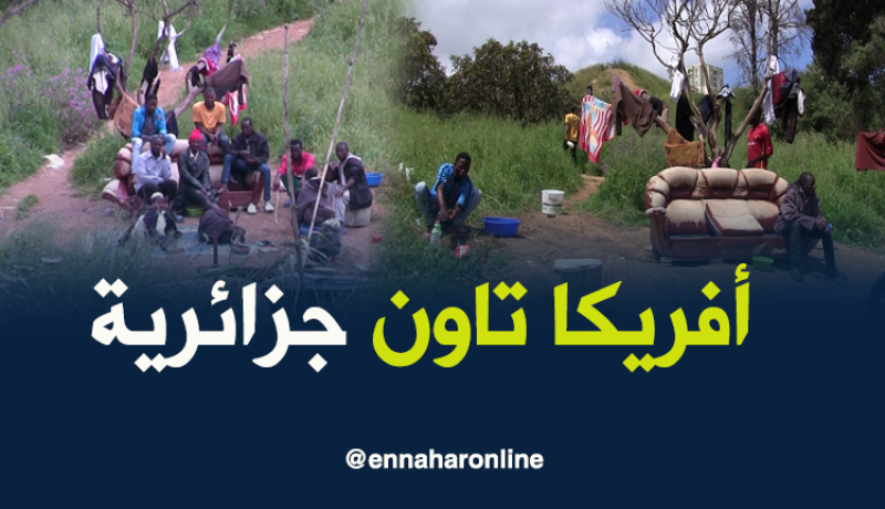 أفريكا تاون جزائرية.. هكذا يحتل أفارقة مزرعة في السبالة بالعاصمة