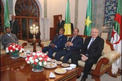 قمة إستثنائية للإتحاد الإفريقي حول ليبيا الأسبوع المقبل