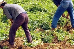 بن عيسى كل من أقصي من مسح الديون فهو غير مستوف للشروط القانونية