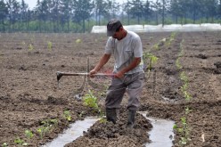 ألف و100 مليار ديون مديرية أملاك الدولة لدى الفلاحين