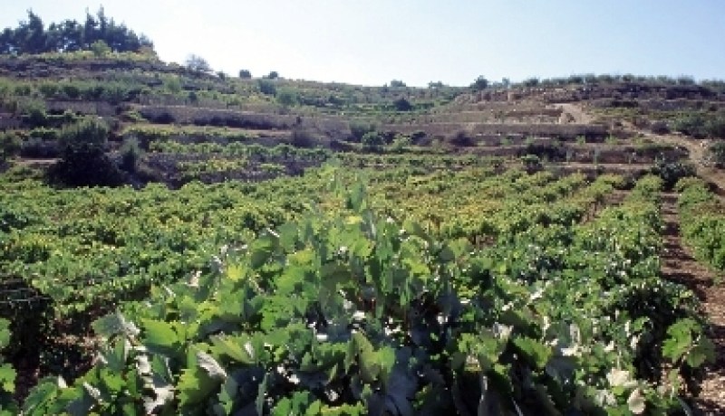 تحسيس الفلاحين بجهاز الدعم الفلاحي والاستثمار الإنتاجي في لقاء بالمدية