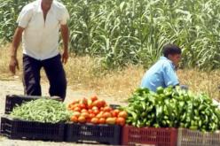 أسعار الخضر والفواكه تلتهب و''الزوالي'' يدفع الفاتورة