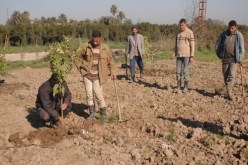 إقالة 13 مديرا مركزيا بوزارة الفلاحة خلال سنتين