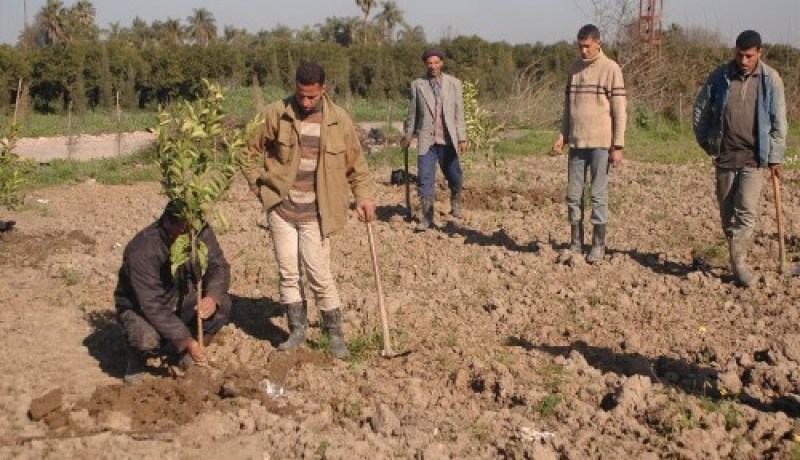 إقالة 13 مديرا مركزيا بوزارة الفلاحة خلال سنتين