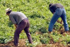 جودي يبرئ نفسه من تعثر ملف مسح ديون الفلاحين والمربين