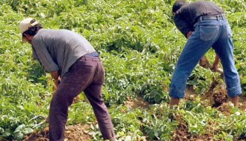 جودي يبرئ نفسه من تعثر ملف مسح ديون الفلاحين والمربين